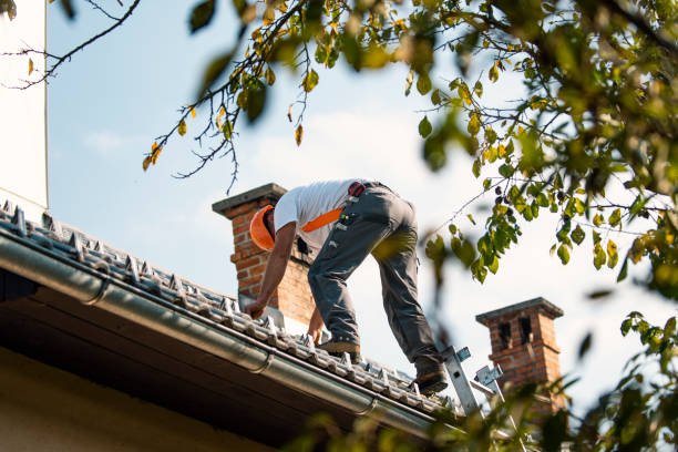 Best Roof Waterproofing Services  in Wlowbrook, IL